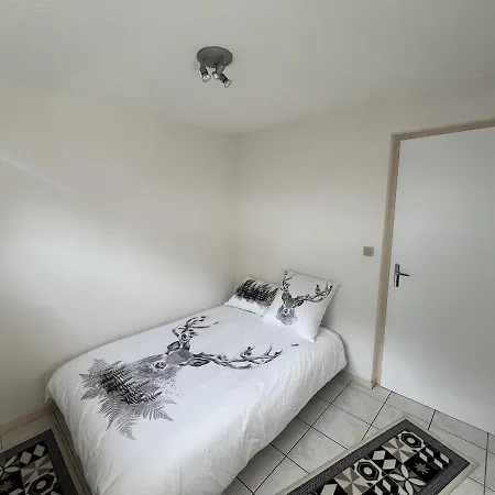 Appartement Aux Pieds ! Vue Et Montagne - 4 Personnes